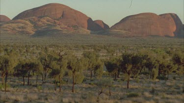 Kata Juta rock formations behind and vegetation in foreground small hair in gate top right
