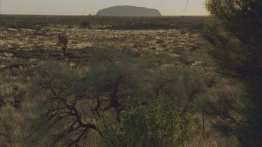 Uluru surface in far distance and sunrise lots of vegetation in foreground small hair in top of frame