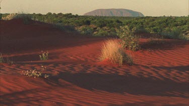 classic Uluru rock shot with some vegetation in front and red sand dunes in foreground