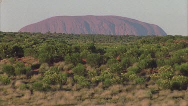 classic Uluru rock shot with some vegetation in front and red sand dunes in foreground