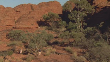 tourist walking around Canyon base among ghost gums and sandstone domes in background