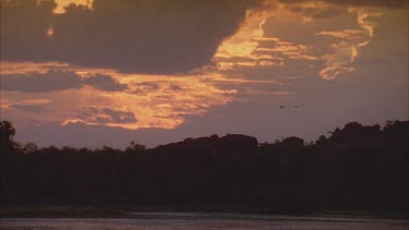 flooded plain wetland scene with water birds and dramatic sunset