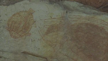 Ubirr rock art barramundi and other fish Long-Necked tortoise