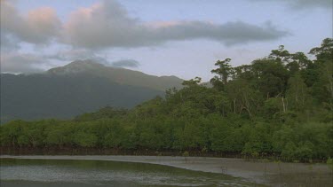 mangroves in foreground and mountains behind