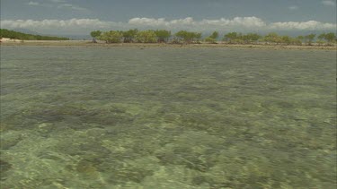 low tide reef flat with island behind mangroves on shore
