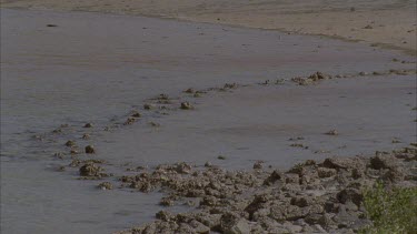 aboriginal fish trap on beach