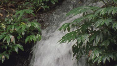Waterfall CU