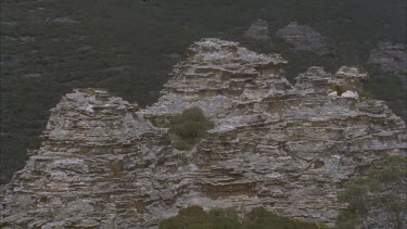 sandstone pagodas