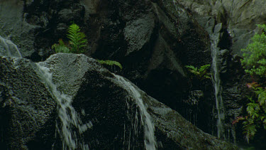 stream flowing over rocks tilt down to waterhole below and roots of trees in water