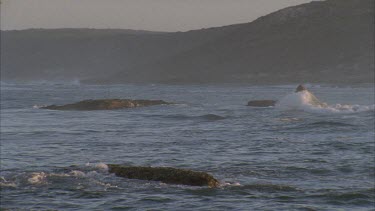 waves break in Sharks bay