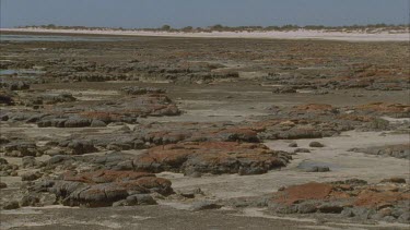 pan across stromatolites at low tide at Hamelin pool