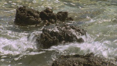 stromatolites at Hamelin pool ,water , tide coming in and waves splash over between outcrops or mats of cyanobacteria