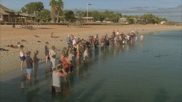 a crowd of tourists and a ranger stand on beach watching dolphins at their feet in shallow water , tourists with camera taking photographs ,ranger gives tourist a fish to feed dolphin ,