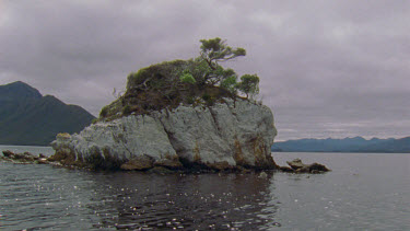 Islet in Bathurst Harbor covered in bird droppings with celery top pine growing on top. Mountains in background.
