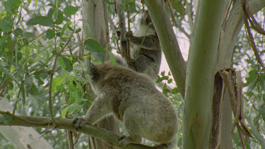 adult scratching in awkward position