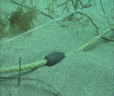 Following a crab trap line underwater