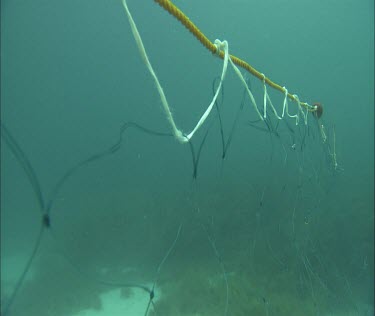 Fishing line and net underwater