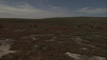 South Australia Coastal landscape