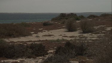 South Australia Coastal landscape