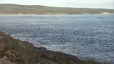 South Australia Ocean and Rocky shore