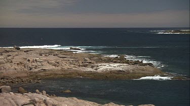 South Australia ocean and a rocky shore