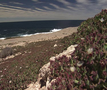 South Australia ocean and a rocky shore