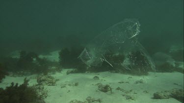 Piece of plastic moving along the ocean floor