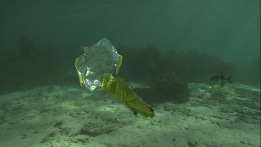 Foil bag underwater