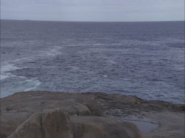 Ocean and the rocky shore