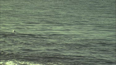 South Australia ocean and the rocky shore