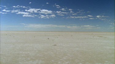 Empty beach with flock of pelicans in flight in the background