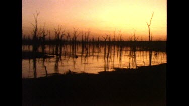 Wetland at sunset. Water appears metallic in red and orange sunset sky. Dead tree stumps poke out eerily from water. Silhouettes. Could be flooded river