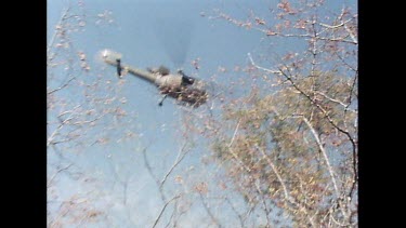 Hand held. Ranger approaches tranquilized rhino. Rhino appears dead but is merely sedated.