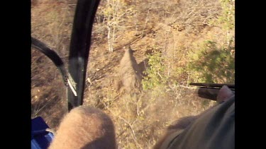Shooting tranquilizer gunat running rhino from helicopter