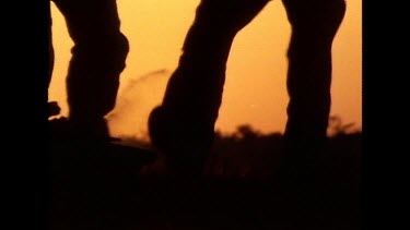 CU. Feet dancing. Sunset in bg.