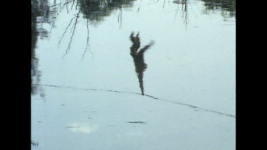 Reflection of Gibbon swinging across wire