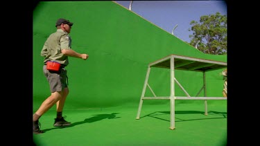 Low angle Tiger leaping off platform towards camera