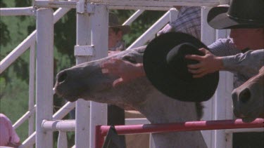 hand stirring up a rodeo horse