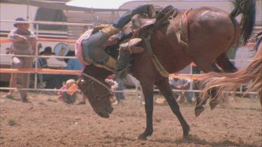 montage of rodeo shots, riders being thrown off