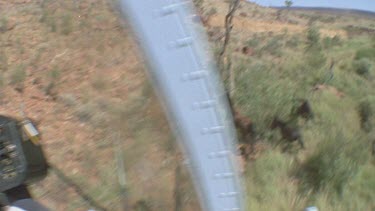 helicopter chasing brumbies into pen