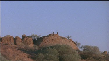 zoom in to two eagles perched on top of a hill