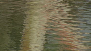 reflection in water raindrops falling