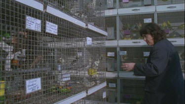 People walking through pet store looking at birds