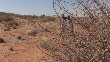 tracker and scientists walk through red dunes , and grass clumps tracking and pointing then crouch down Louis Liebenberg and Klaus Kruiper , walk out of shot