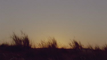 silhouette shot of Louis Liebenberg walking across crest of hill with grass tussocks