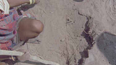 bushmen woman digging for poison arrow worms , little boy helping dig away soil