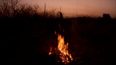 bushmen in silhouette with firelight fire burning