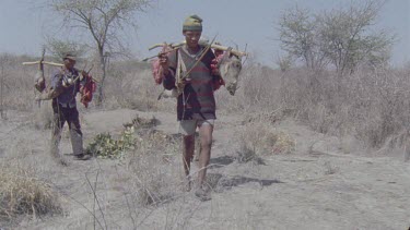 bushmen carrying cut up warthog carcass through the grassland
