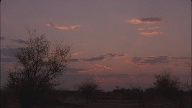 Kalahari sunset