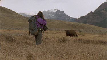 man taking photo of bison